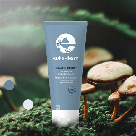Eine Tube euka-derm Bodylotion im Wald, umgeben von Pilzen.